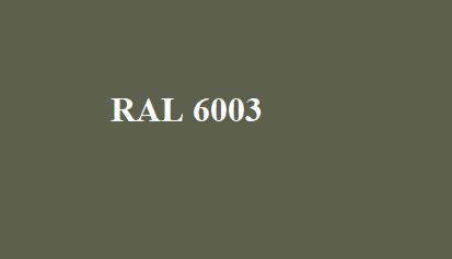 Vopsea kaki 6003 hhtotal.ro